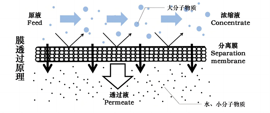 后置膜過濾系統(tǒng)